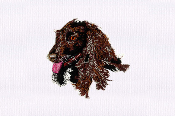 Afghan Hound Face Embroidery
