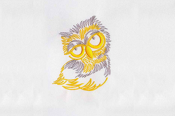 Big Eyes Owl Embroidery