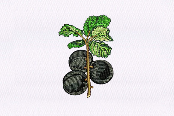 Black Cherry Vines Embroidery Design Review