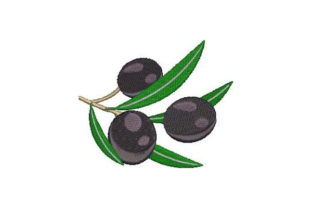 Black Olives Embroidery Review