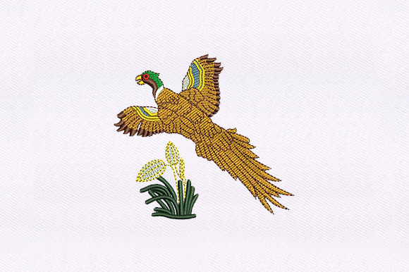 Flying Macaw Parrot Embroidery Design Review