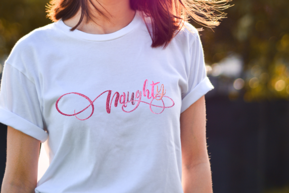 Naughty Lettering Review for Seasonal Embroidery Projects